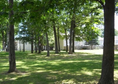 Trees and greenspace